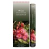 Bo-îte de 6 tubes Aromatika de 20 batônnets d'encens roulés à la main "Massala"  100% naturel (20 grammes)