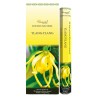 Bo-îte de 6 tubes Aromatika de 20 batônnets d'encens roulés à la main "Massala"  100% naturel (20 grammes)