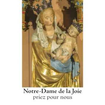 cover_17799.JOIE
