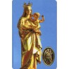 Carte priere plastifiee avec poincon dore imitation medaille H.8.5 x 5.4 cm, plusieurs saints.
