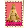 Livret de neuvaine avec historique, prière, neuvaine H.15 x10 cm, nombreux saints.
