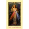 Image de prière – Format 6,5 x 11,5 cm, plusieurs saints.