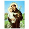 Poster image papier (135 g) H.26 x 19 cm, plusieurs saints.
