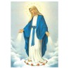 Poster image papier (135 g) H.26 x 19 cm, plusieurs saints.