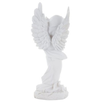 22315-PHOTO5